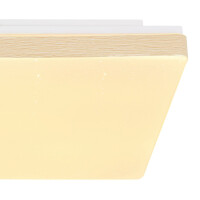 Globo 48296W Raina Deckenleuchte Metall Weiß, Led 5