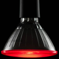 LED PAR 38 Reflektor rot E27 18W gallery 6_2nd