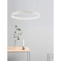 Nova Luce 9530209 Motif LED Pend gallery 13_2nd