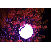 Lichtkugel Pearl 3